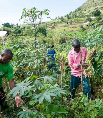 agric